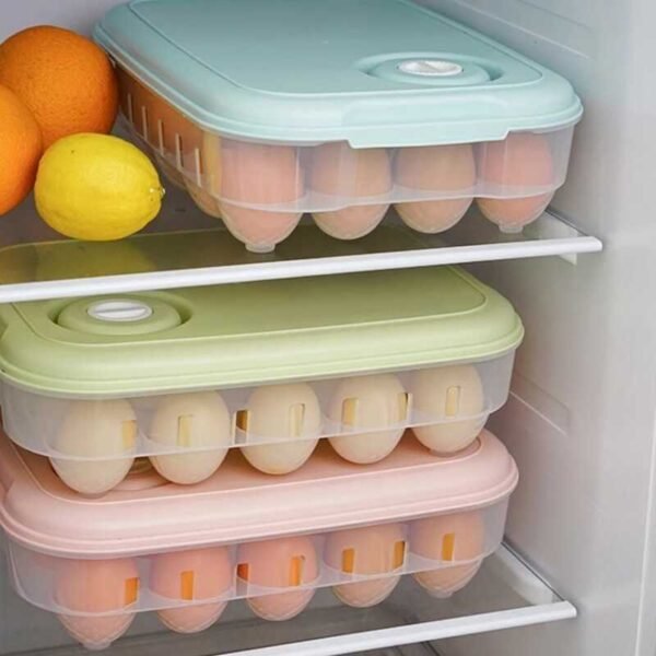 Organizador de huevos *20 . MATERIAL ABS FK-26 - Imagen 3