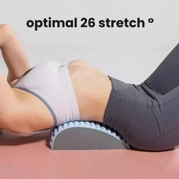 Cojín Ortopédico De Apoyo Lumbar Para La Columna Vertebral FK24-05 - Imagen 2