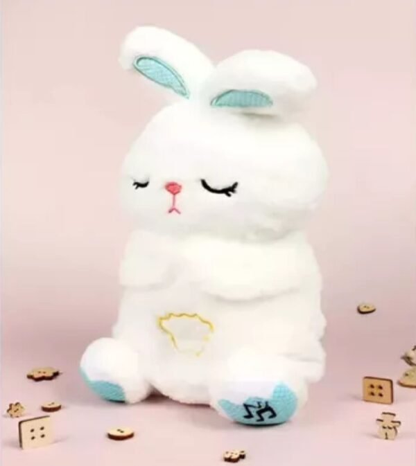 Muñeco de respiracion Conejo - Imagen 5