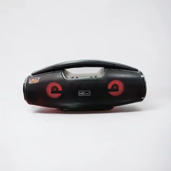 PARLANTE NANOTEC NT-P2413