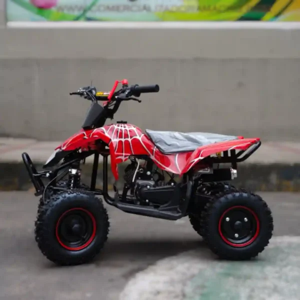 CUATRIMOTO GASOLINA ZC-Y-113 - Imagen 2
